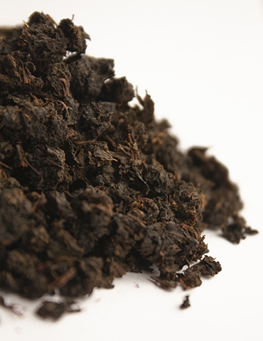 Granulated Fireweed tea